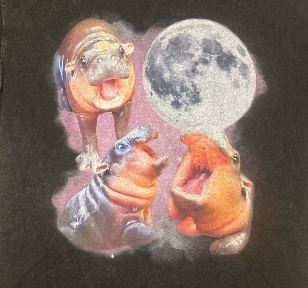 Moon Baby Pygmy Hippo T-Shirt Comfort Colors Moo Deng